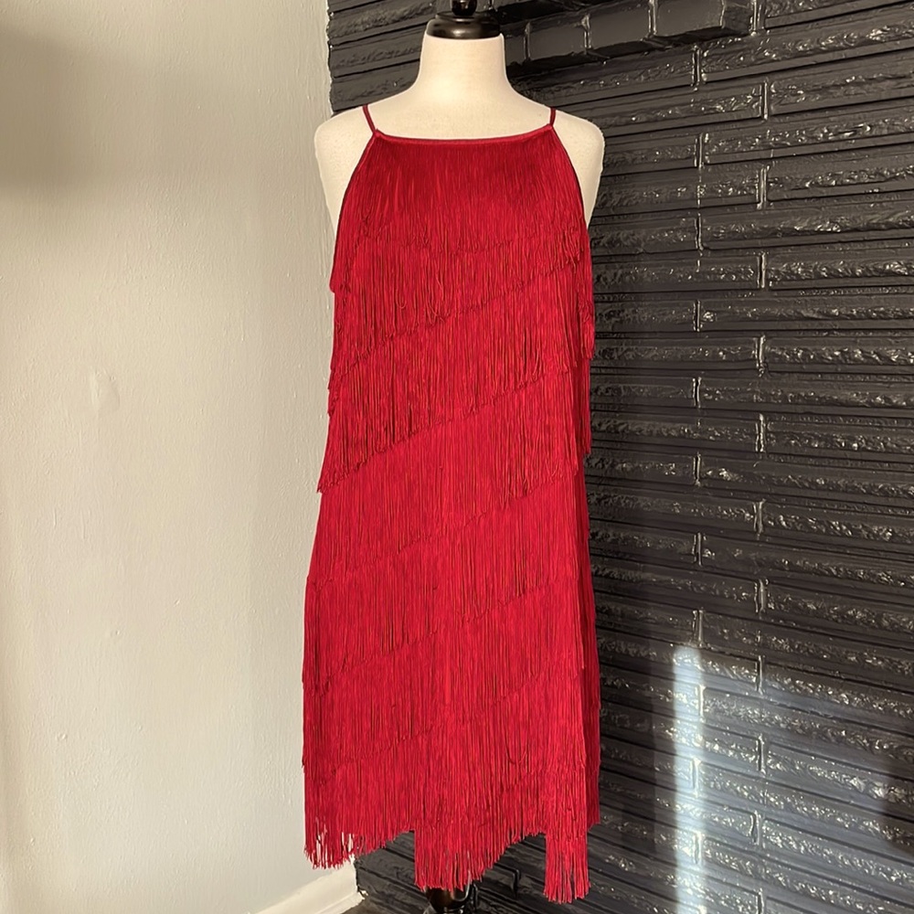 WHBM Flapper Fringe Dress.  XL. NWT.
